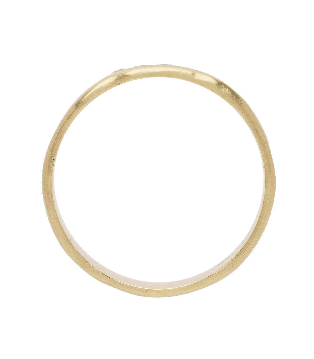 Ducks in a Row P-R3-Horz ring band in shiny gold with slim polished circular finish.