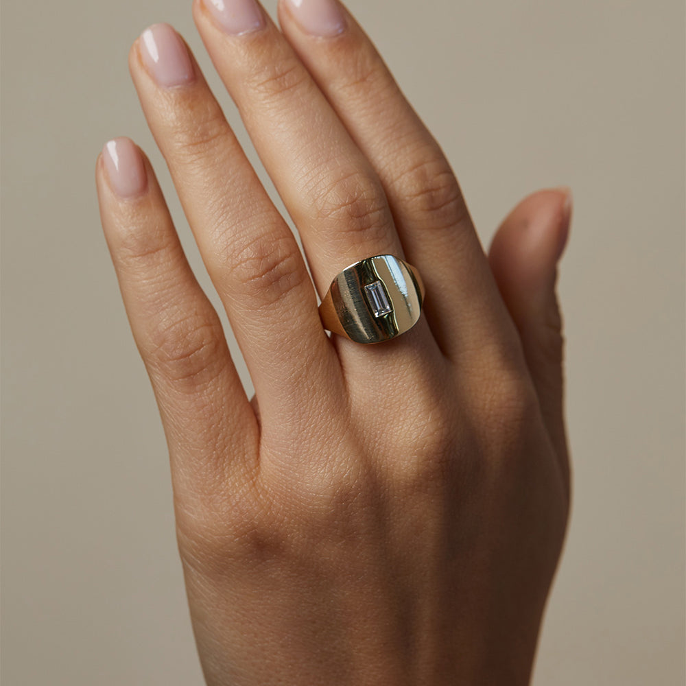Modern Signet by SR-R2-BC: shiny 14K gold signet ring with rectangular inset on fingers