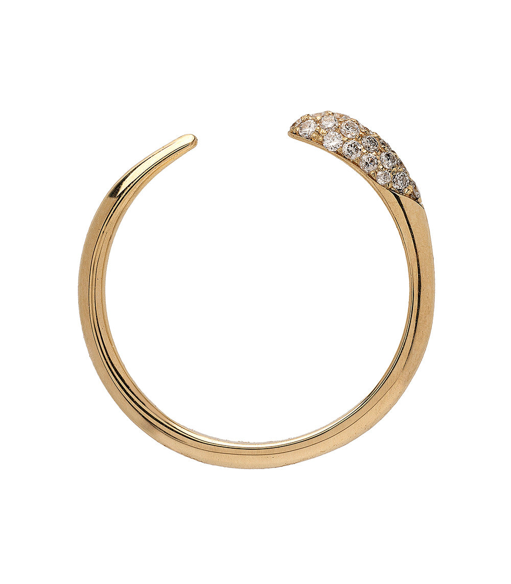 Comet Band NB-R1-D ring in shiny 14K yellow gold with pavé diamond arc detail band